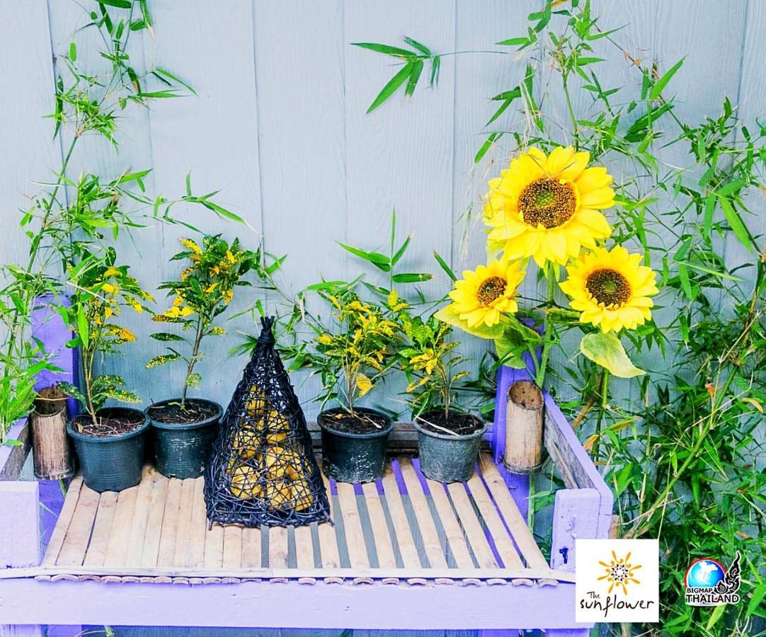 Sunflower Guesthouse And Animal Rescue - เกาะหลีเป๊ะ ภายนอก รูปภาพ